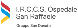 I.R.C.C.S. Ospedale San Raffaele